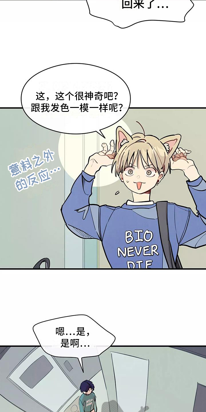 第15章：疑惑4