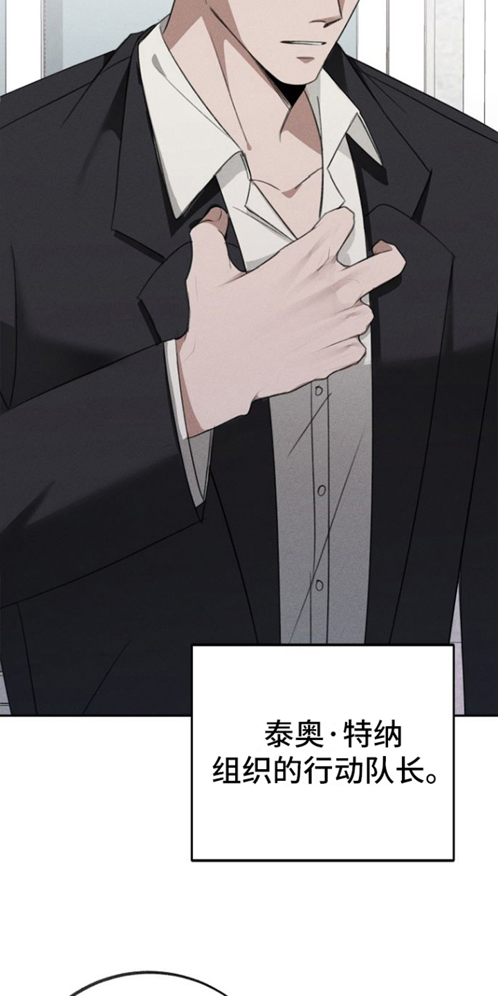 第1章：不会让您失望3