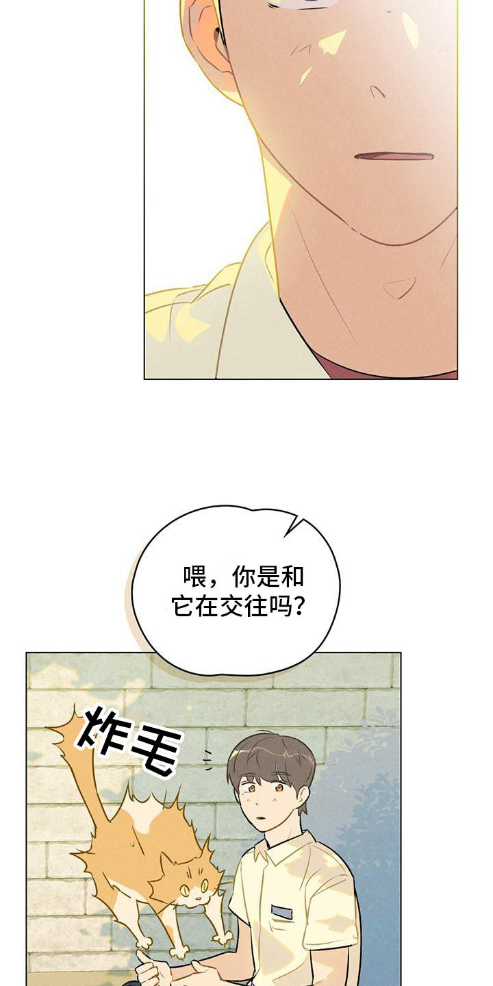 第9章：想要确认3