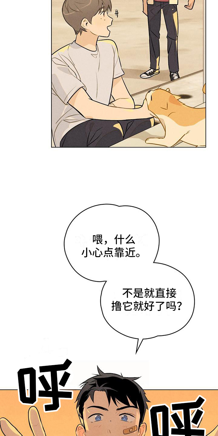 第15章：名字4