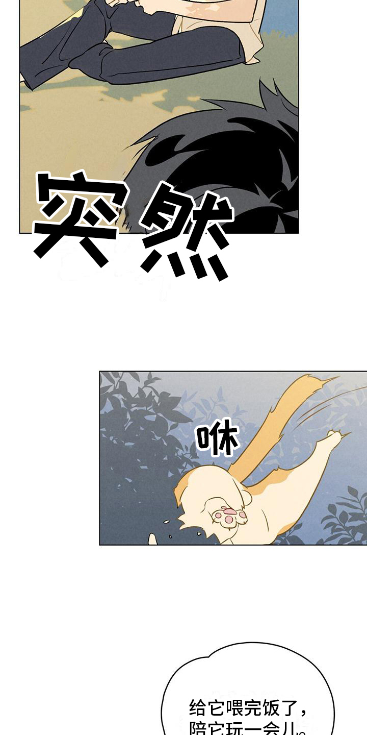 第9章：想要确认4