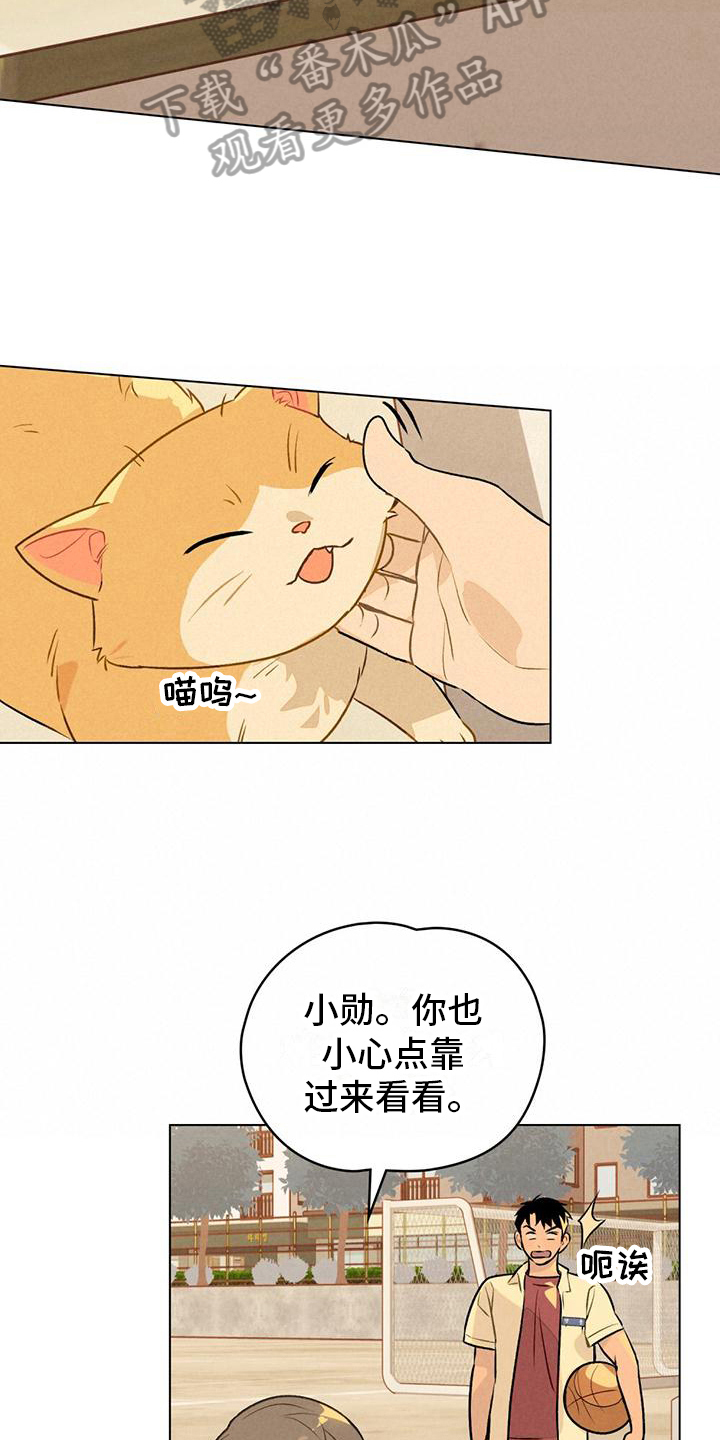 第15章：名字3
