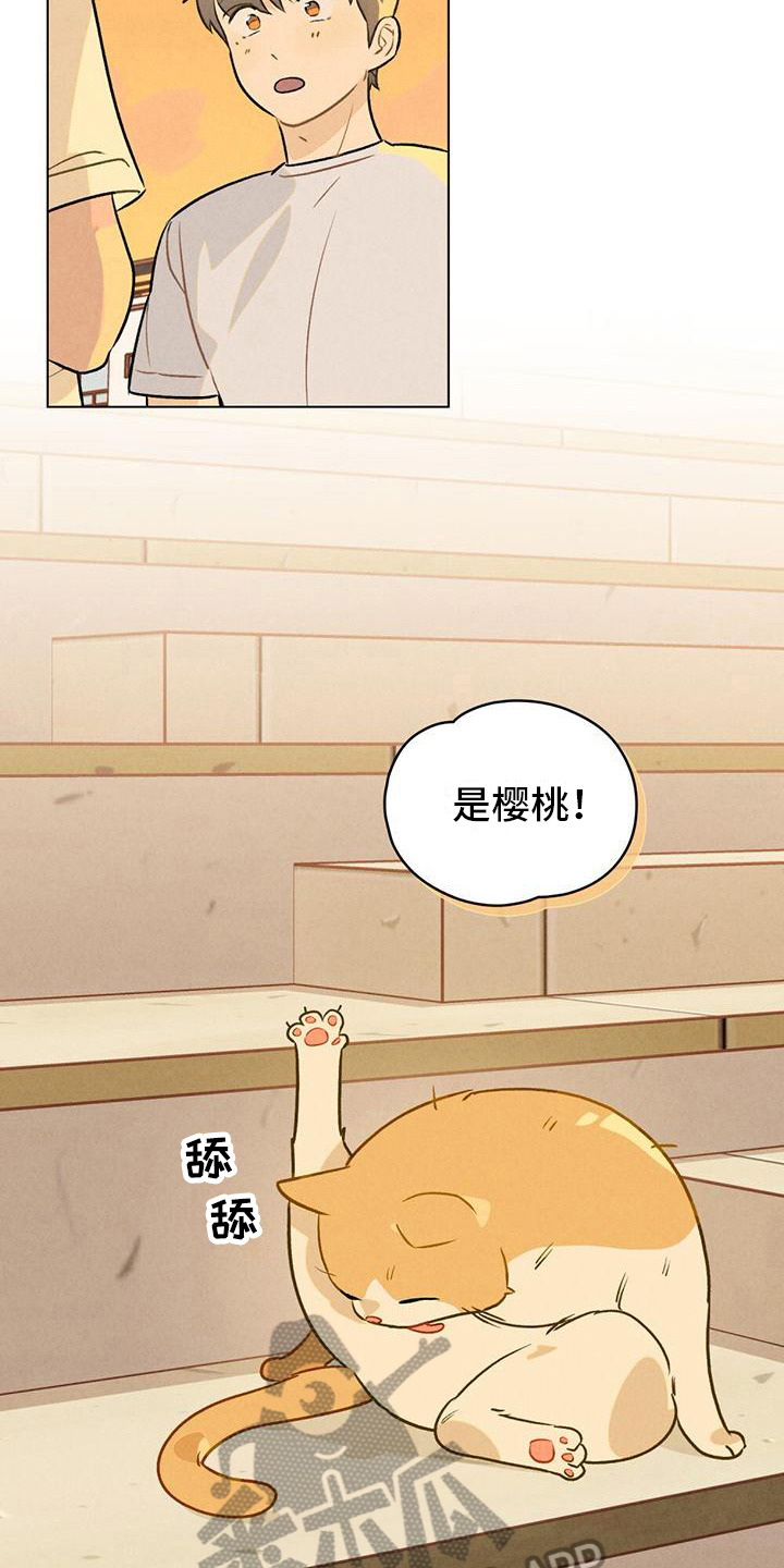 第15章：名字2