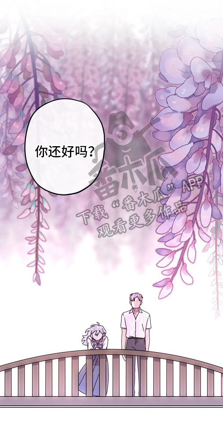第16章：没有爱情的婚姻0
