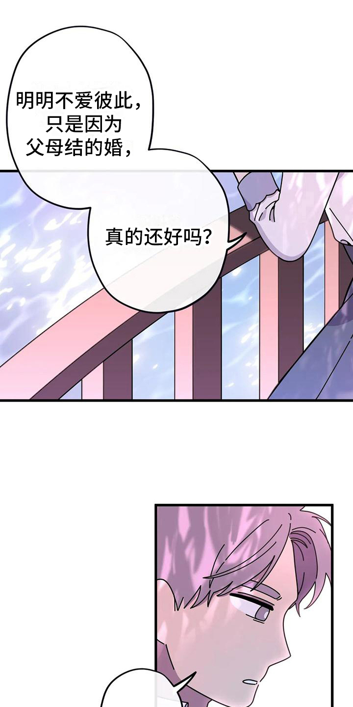 第16章：没有爱情的婚姻1