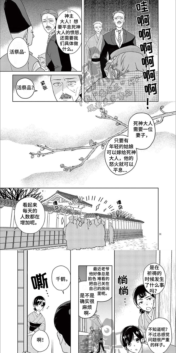 第5章：代替品0