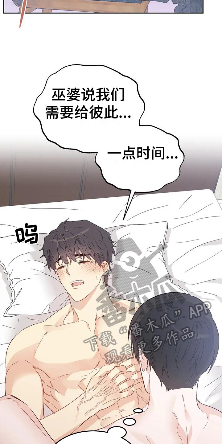 第14章：恋爱命运：交往3