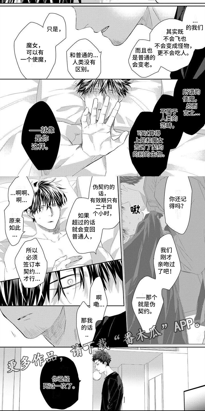 第5章：使魔1