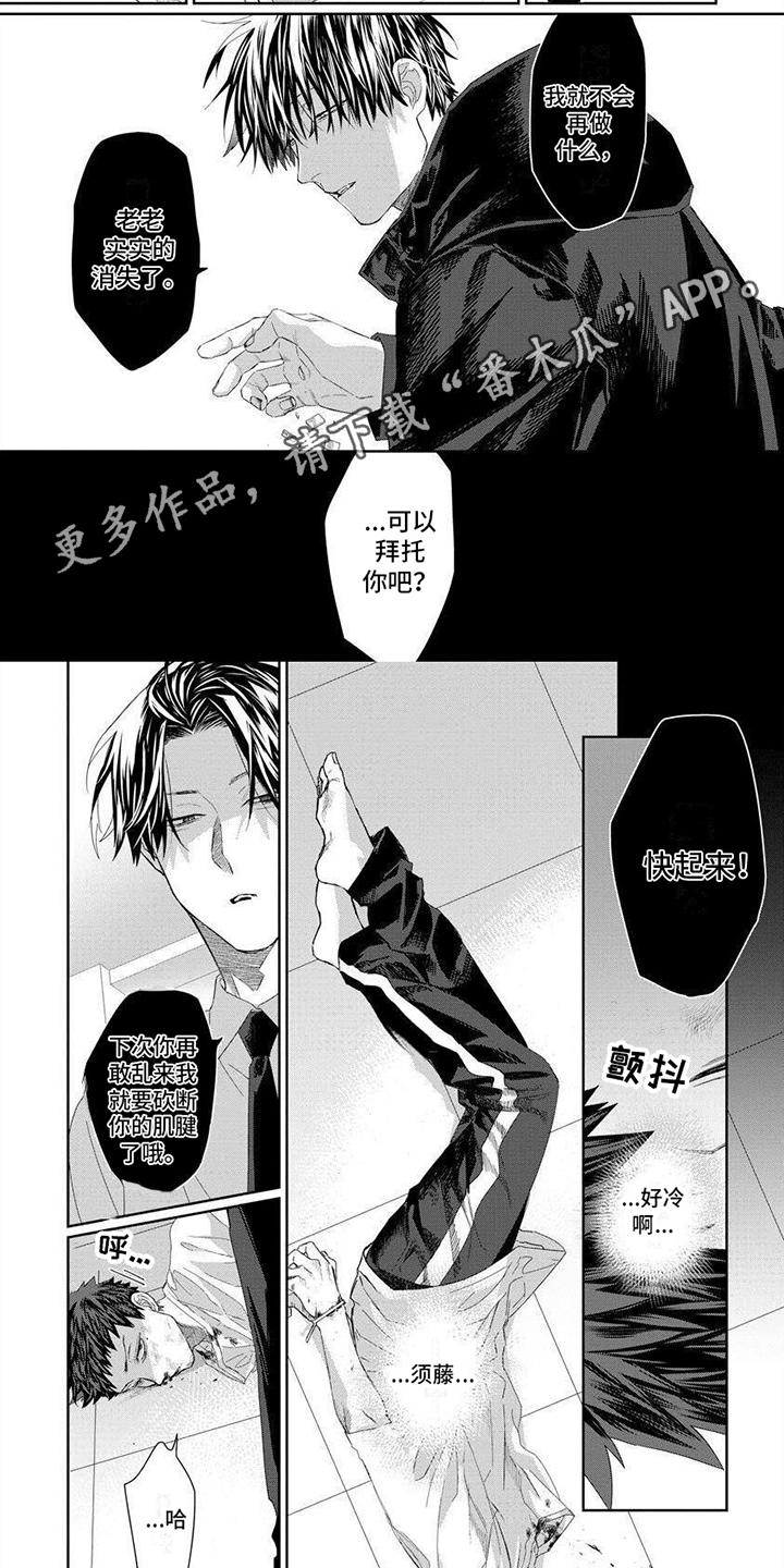 第16章：内幕1