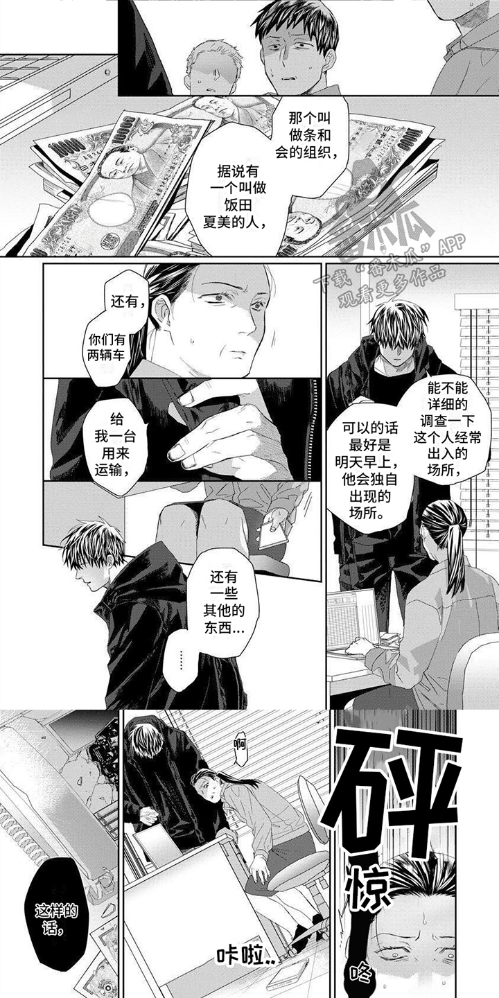 第16章：内幕0