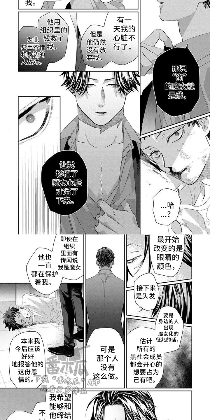 第16章：内幕3