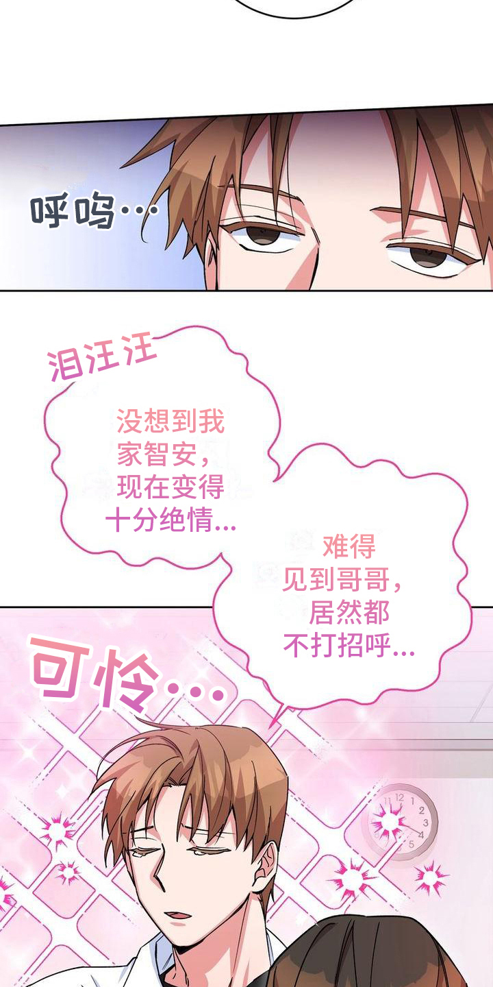 第13章：针对2