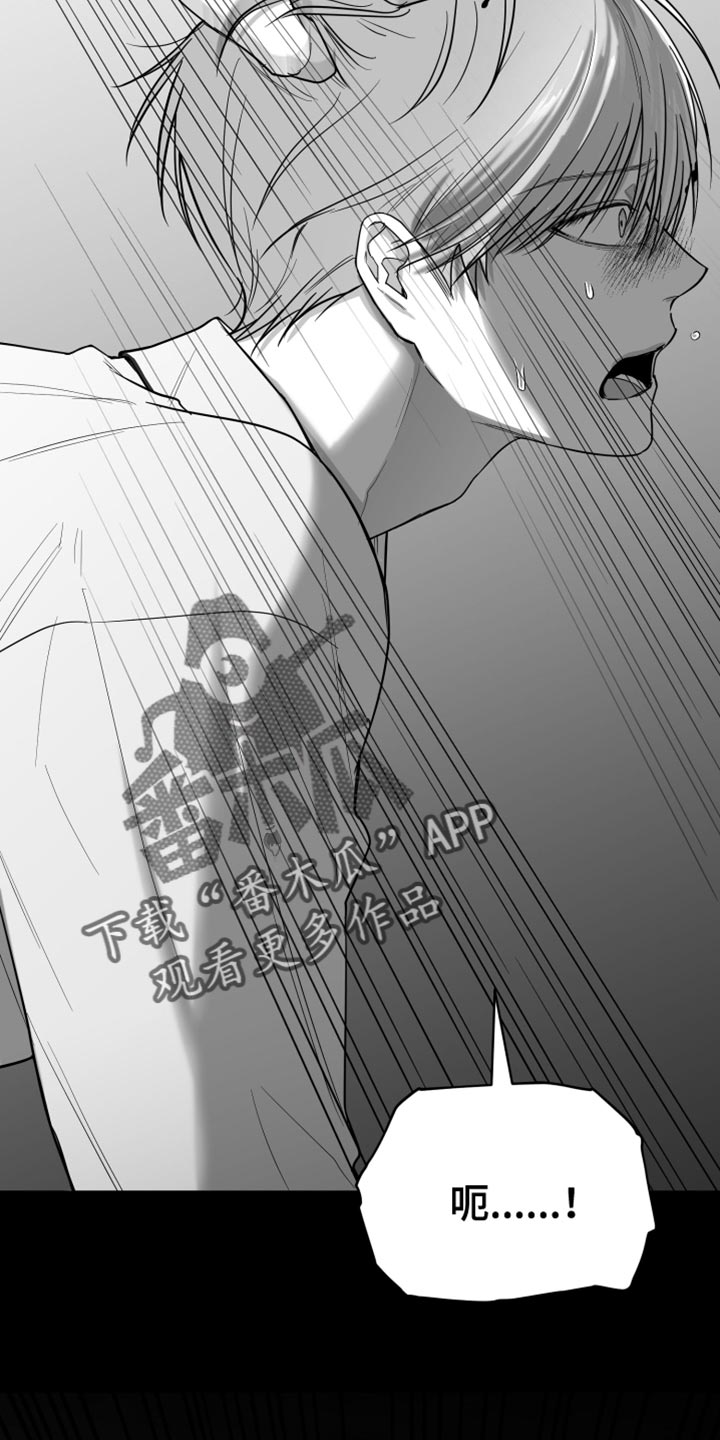 第27章：抓住了3