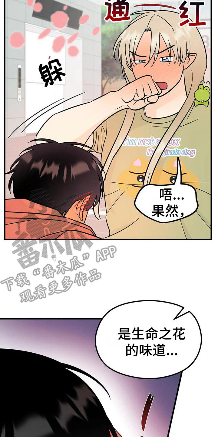 第9章：香味0