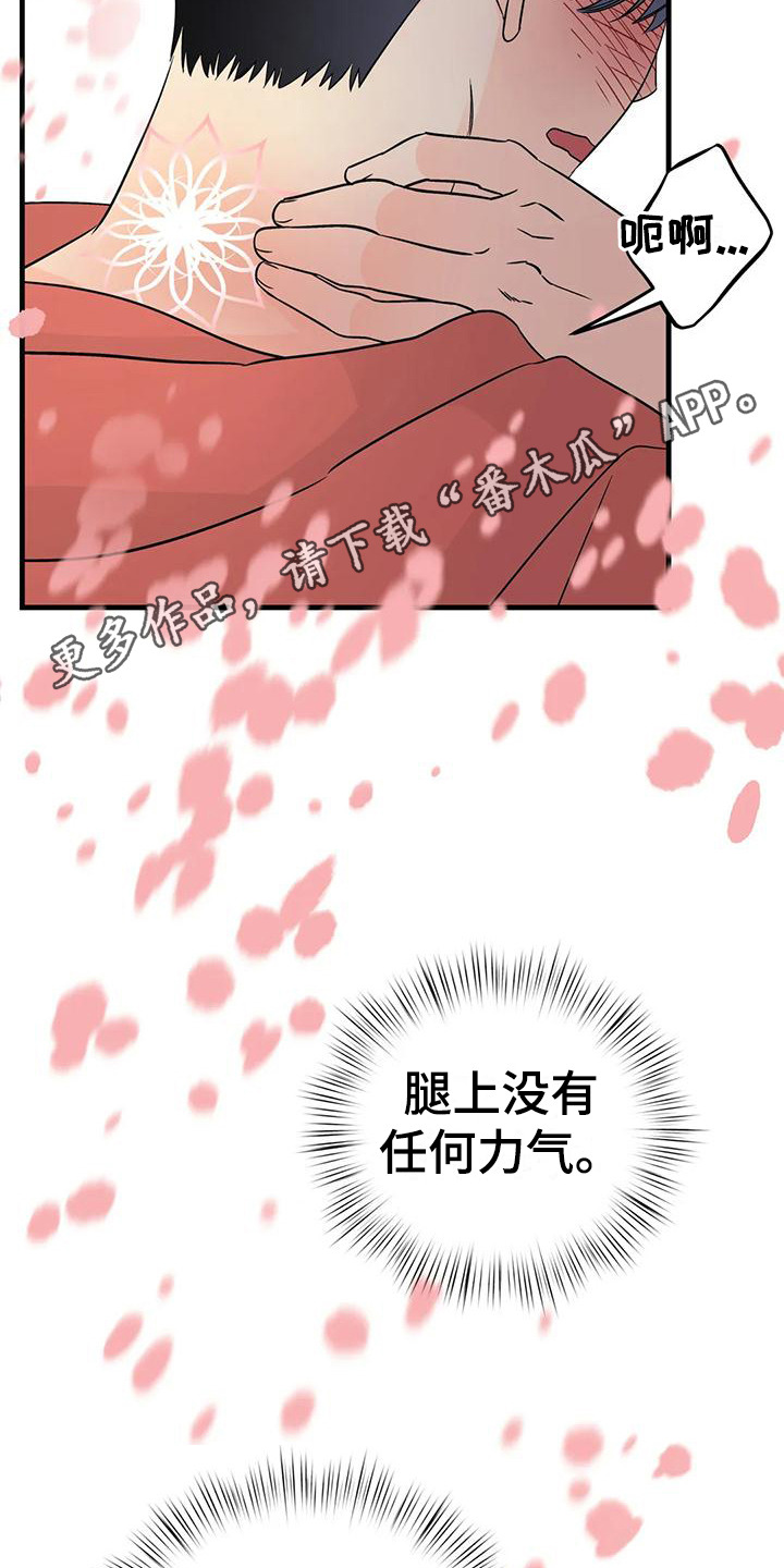 第9章：香味4