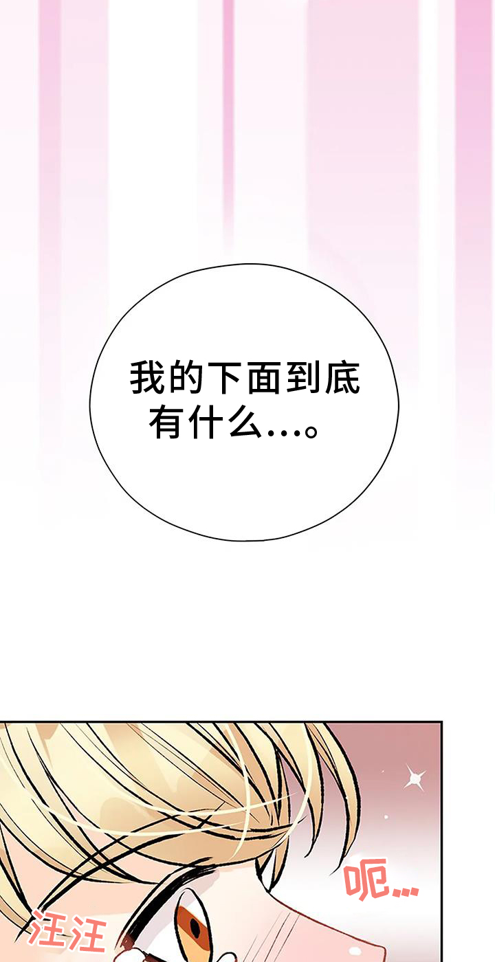 第19章：想象0