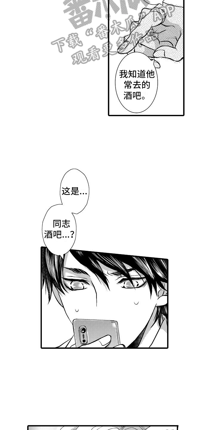 第11章：伪装4