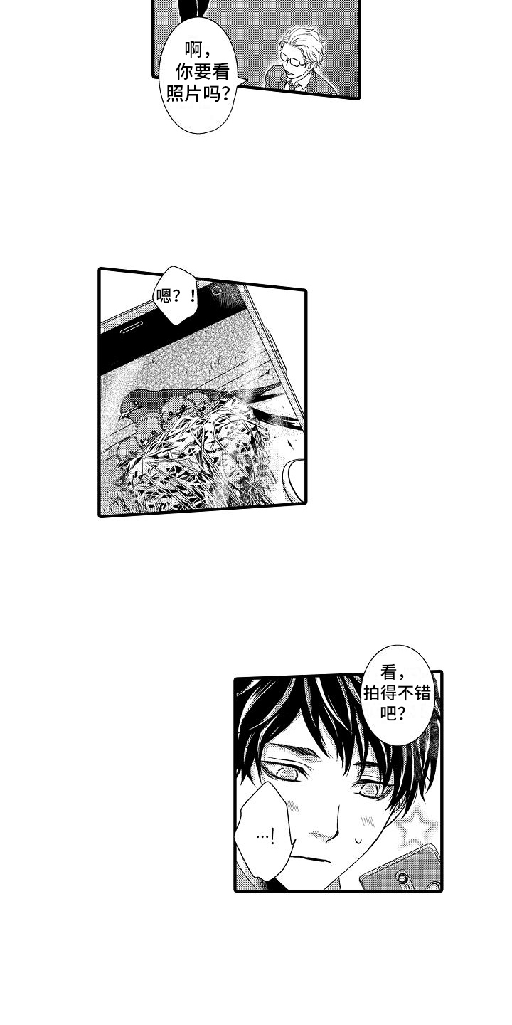 第3章：巧合4