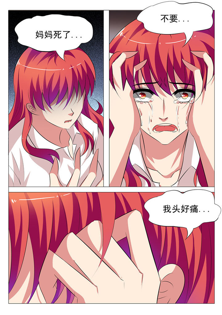 第41章：3