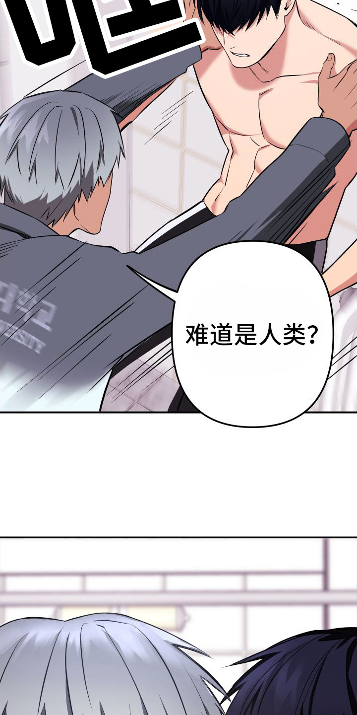 第3章：人类的味道4
