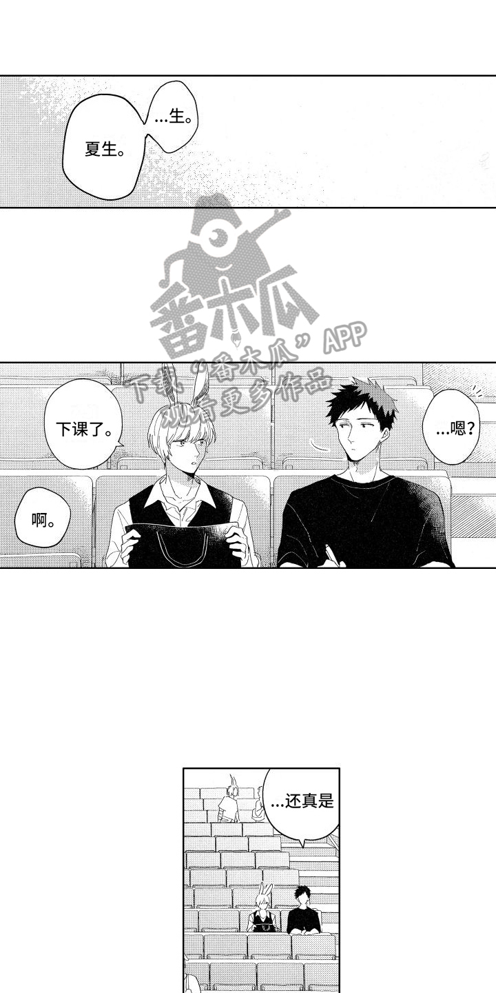 第11章：查询0