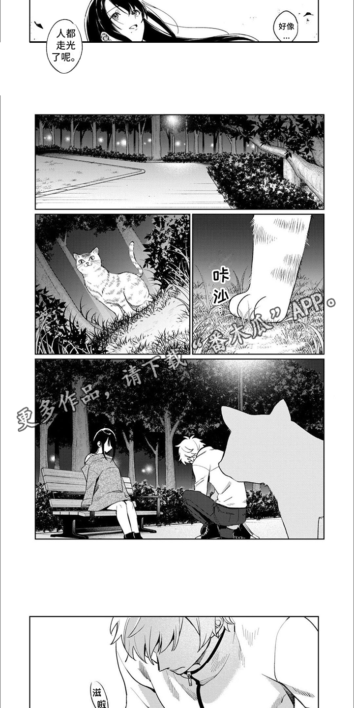 第8章：拍摄1