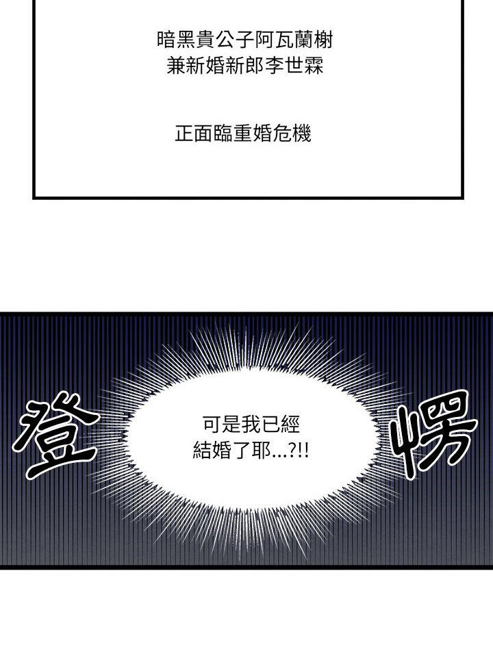 第11章：重婚危机0