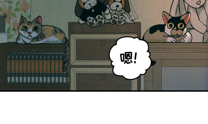 第11章：咖喱0