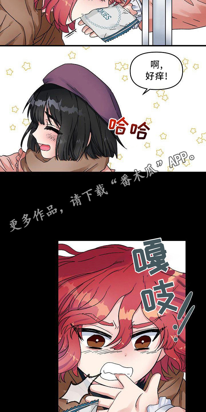第4章：宠物4