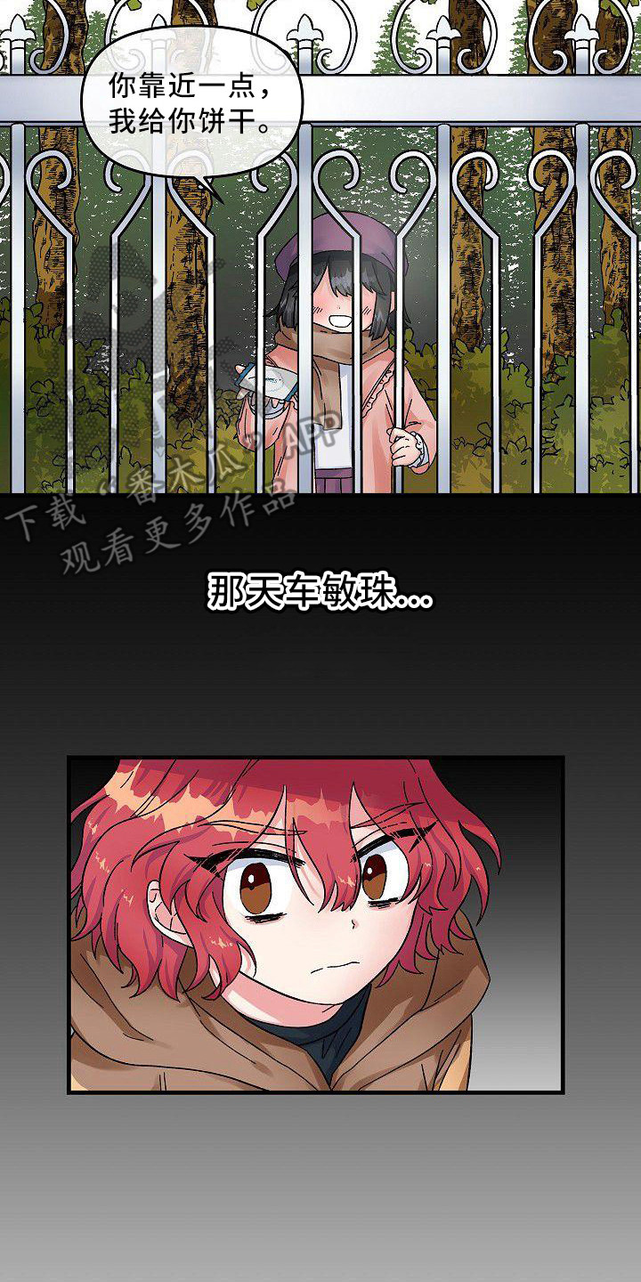 第4章：宠物1