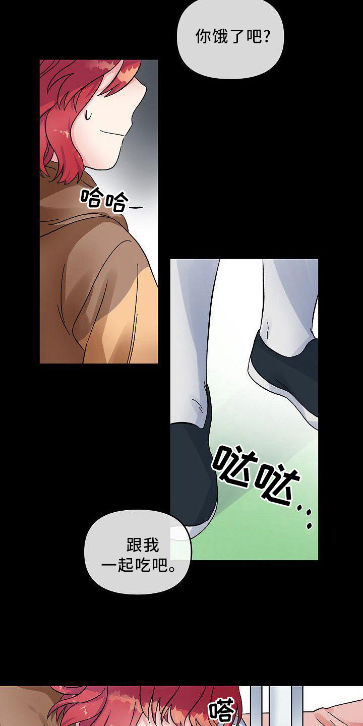 第4章：宠物3
