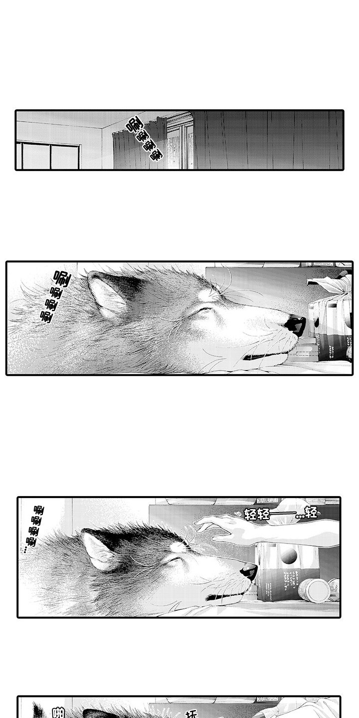 第29章：解释0