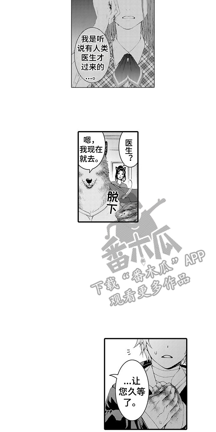 第8章：处理伤口1