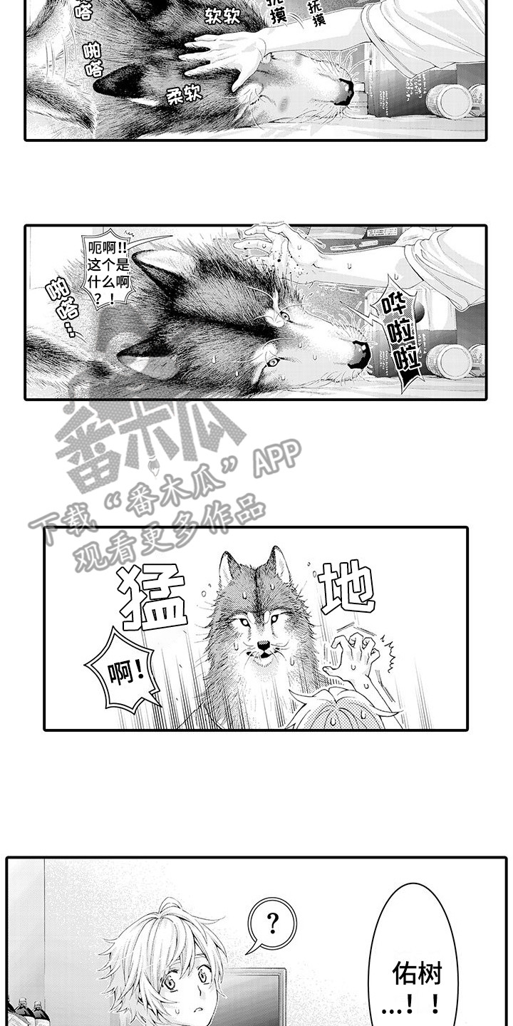 第29章：解释1