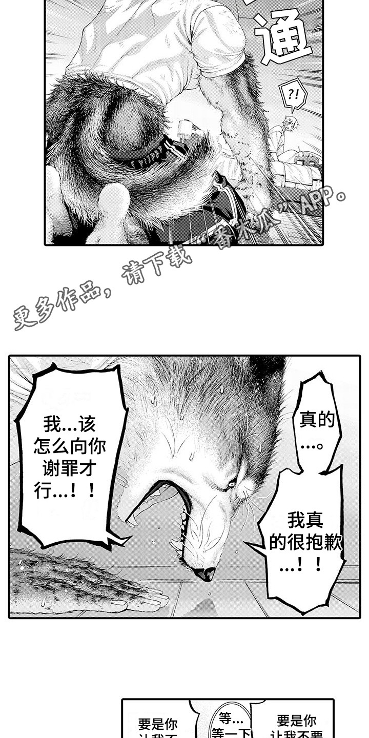 第29章：解释3