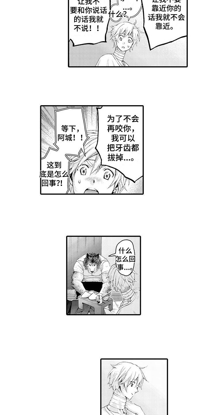 第29章：解释4