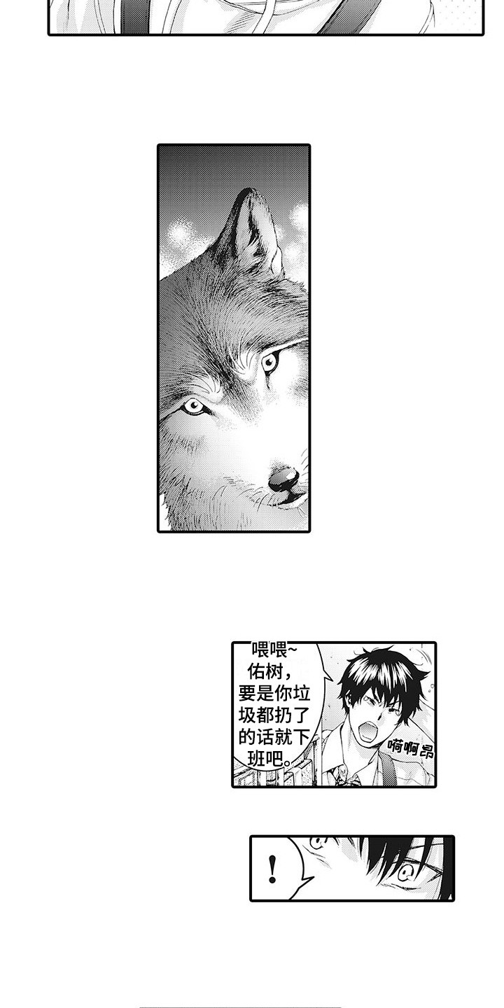 第5章：很神奇4