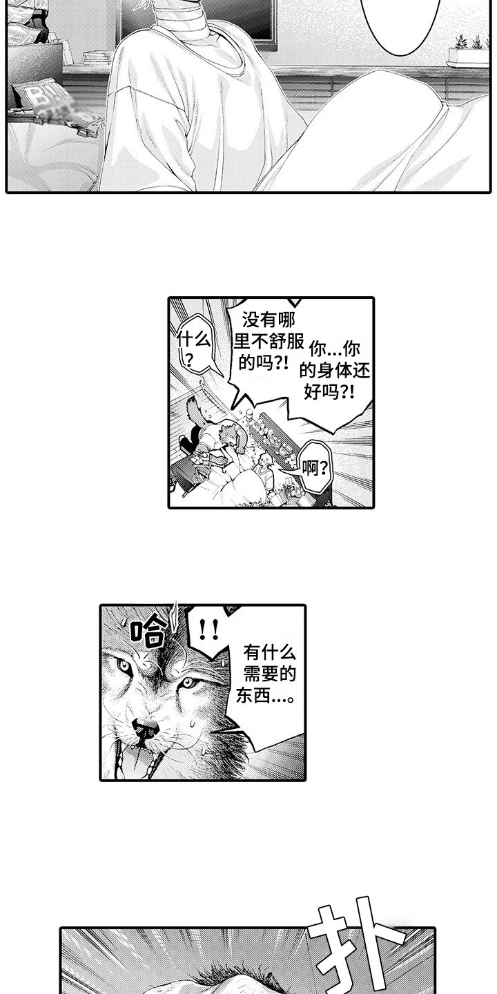 第29章：解释2