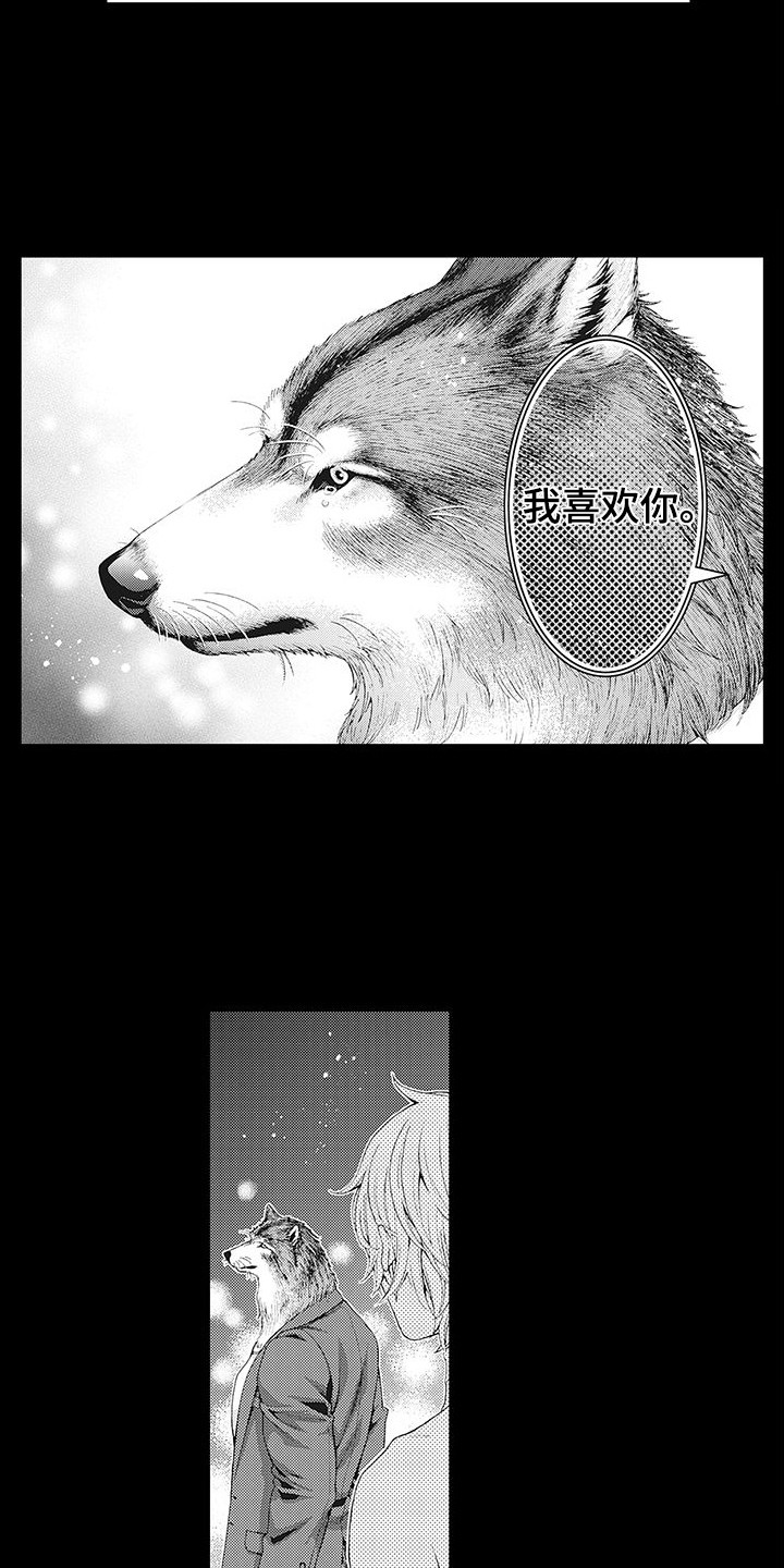第6章：幻想4