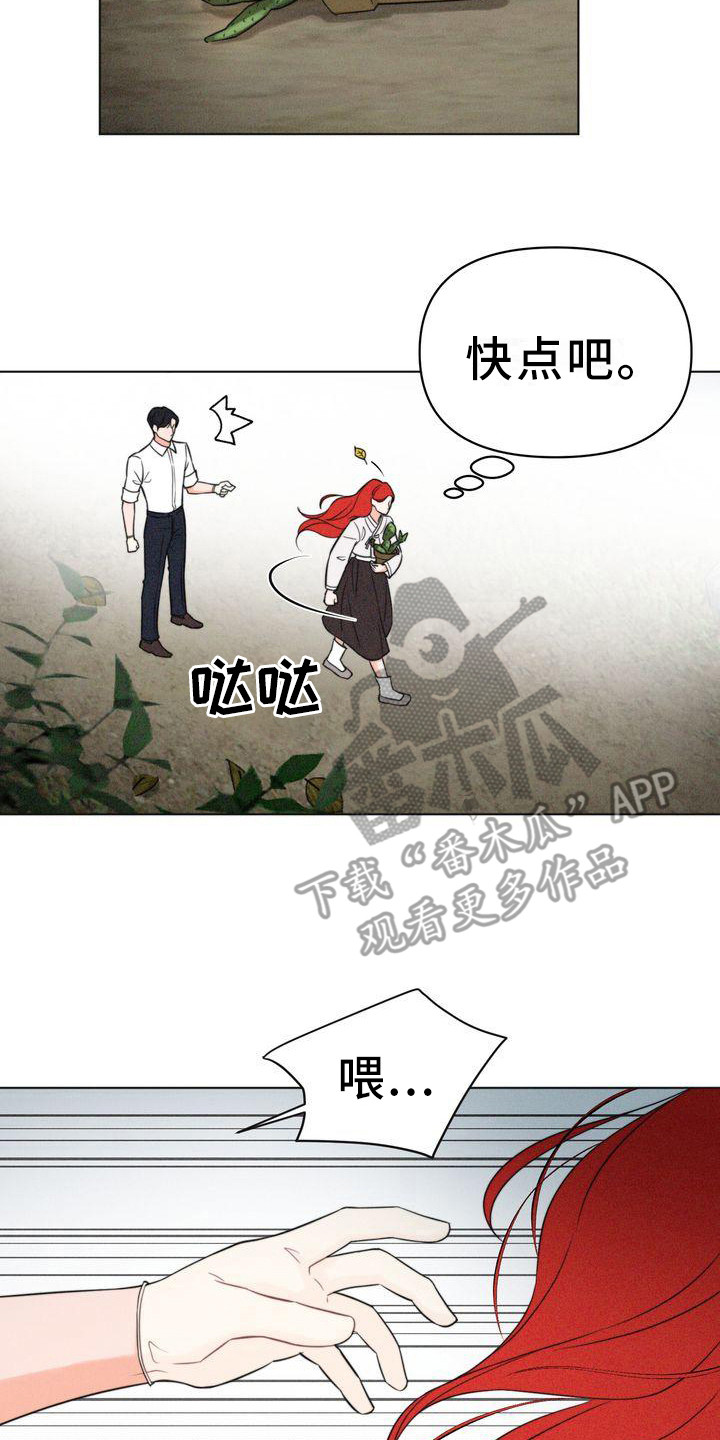 第9章：仔细看1
