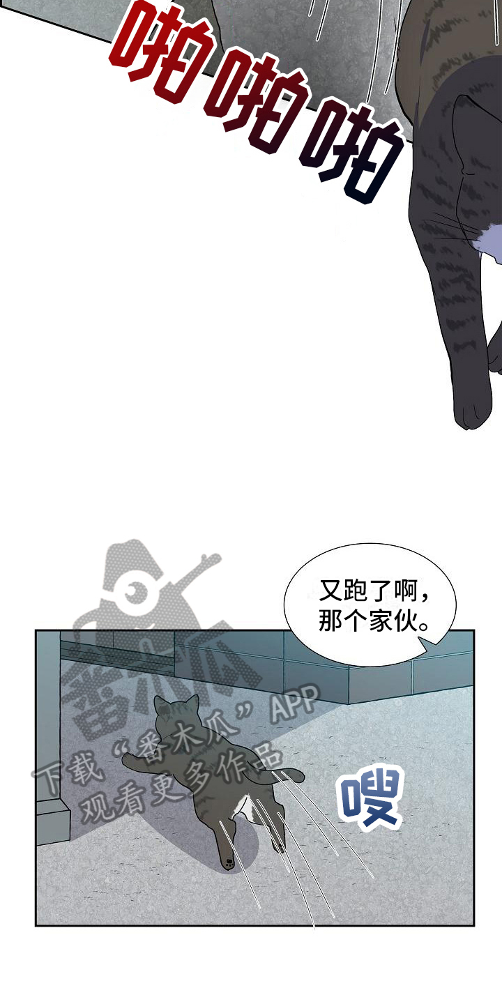 第4章：小团4