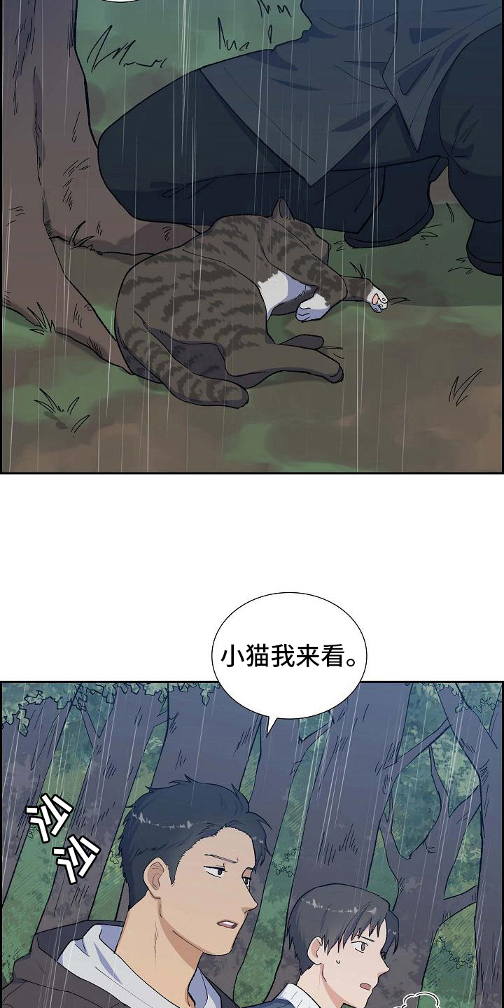 第28章：追击1
