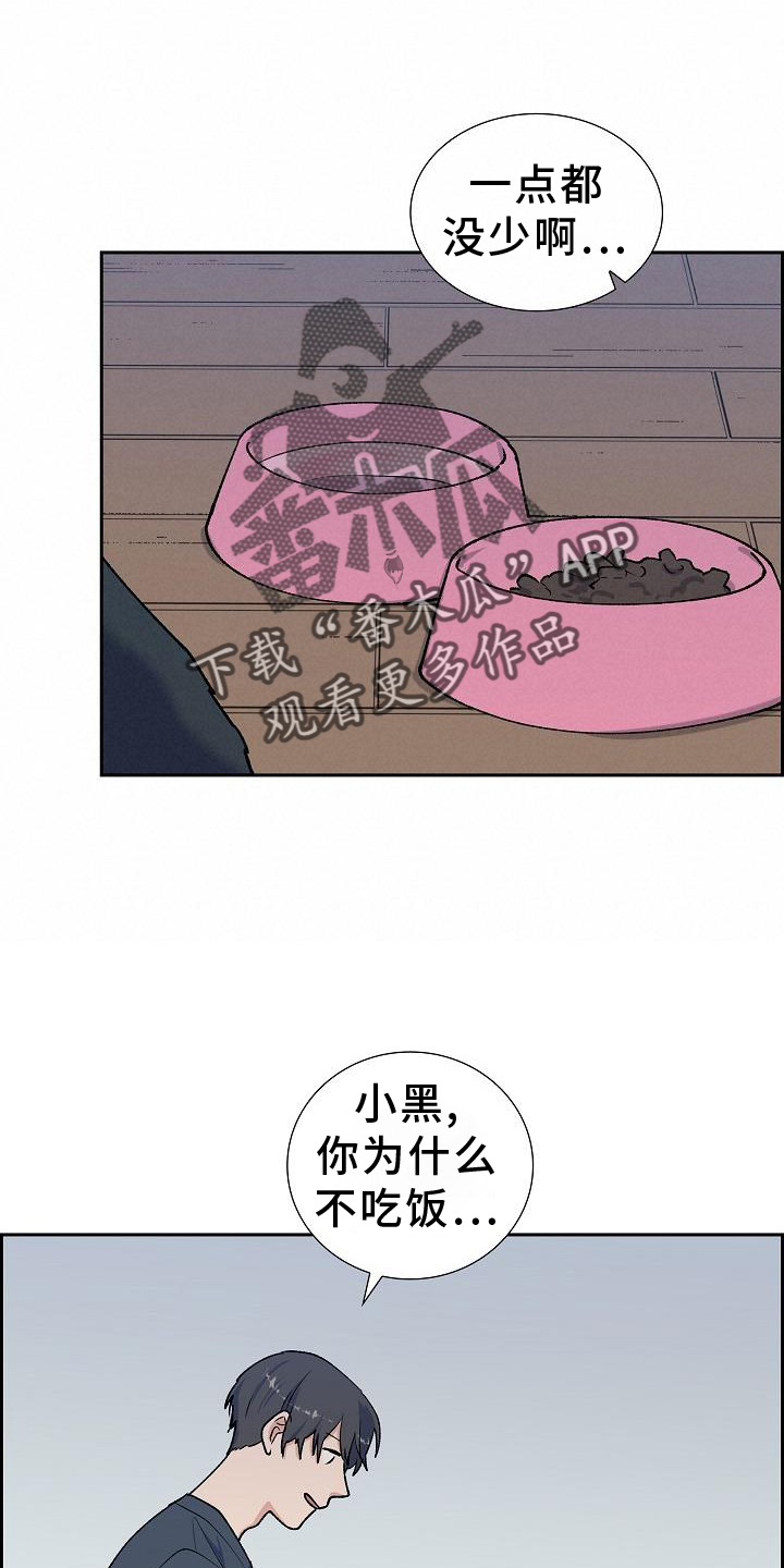 第35章：折腾1