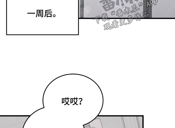 第17章：纠缠2