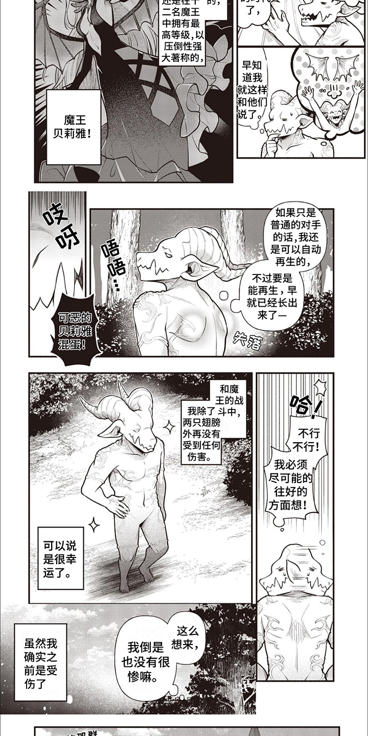 第2章：没有翅膀4