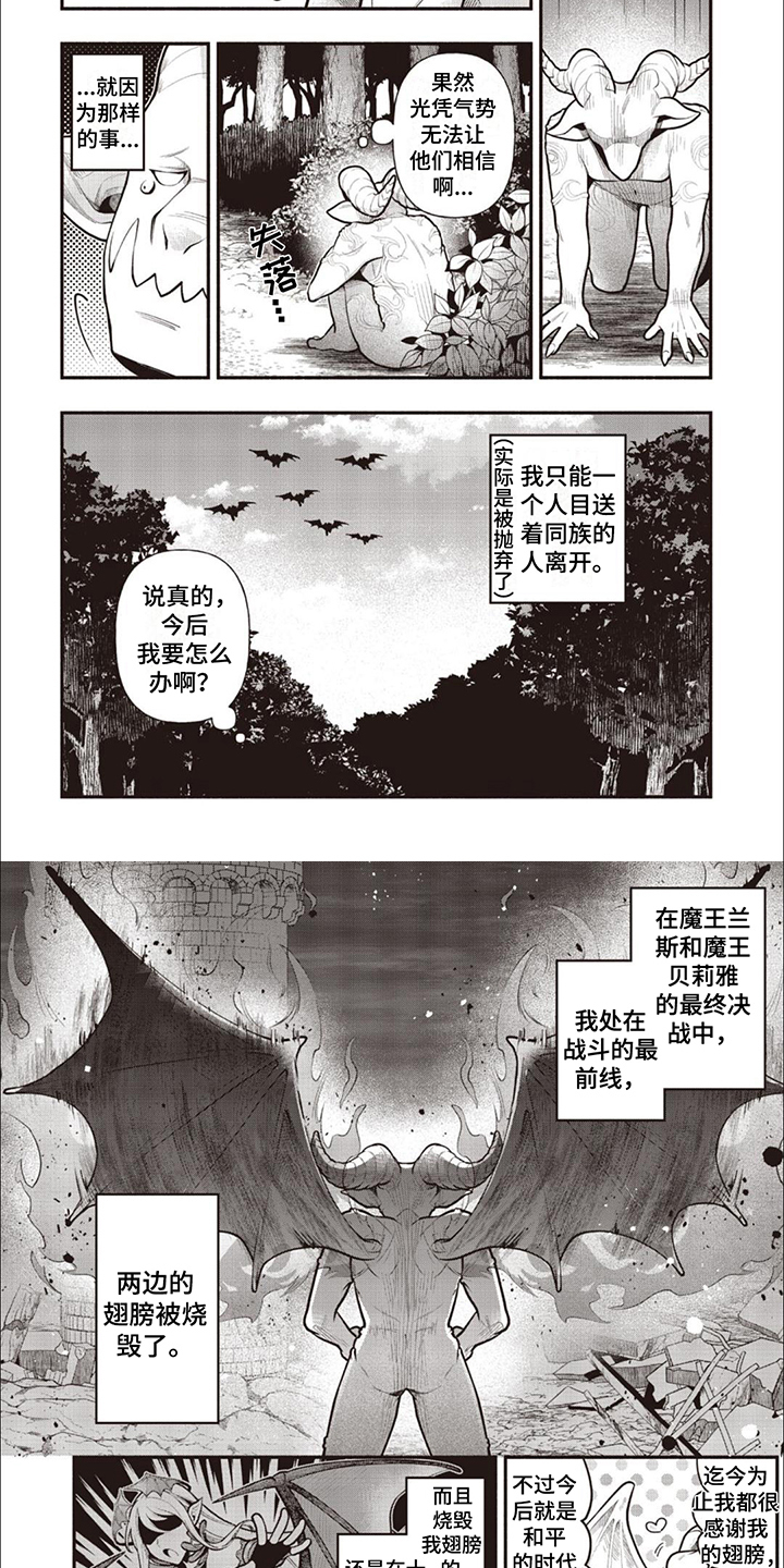 第2章：没有翅膀3