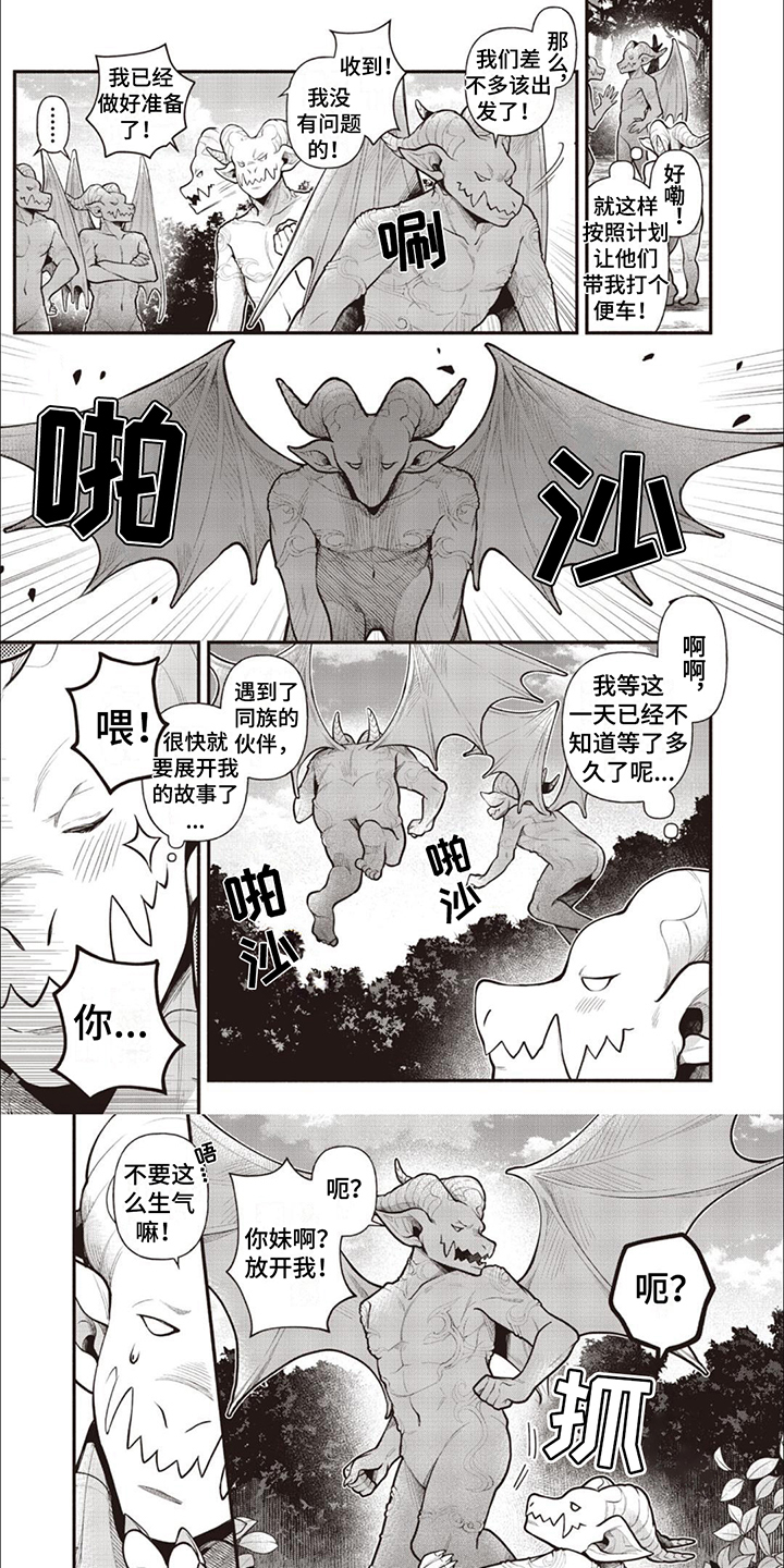 第2章：没有翅膀0