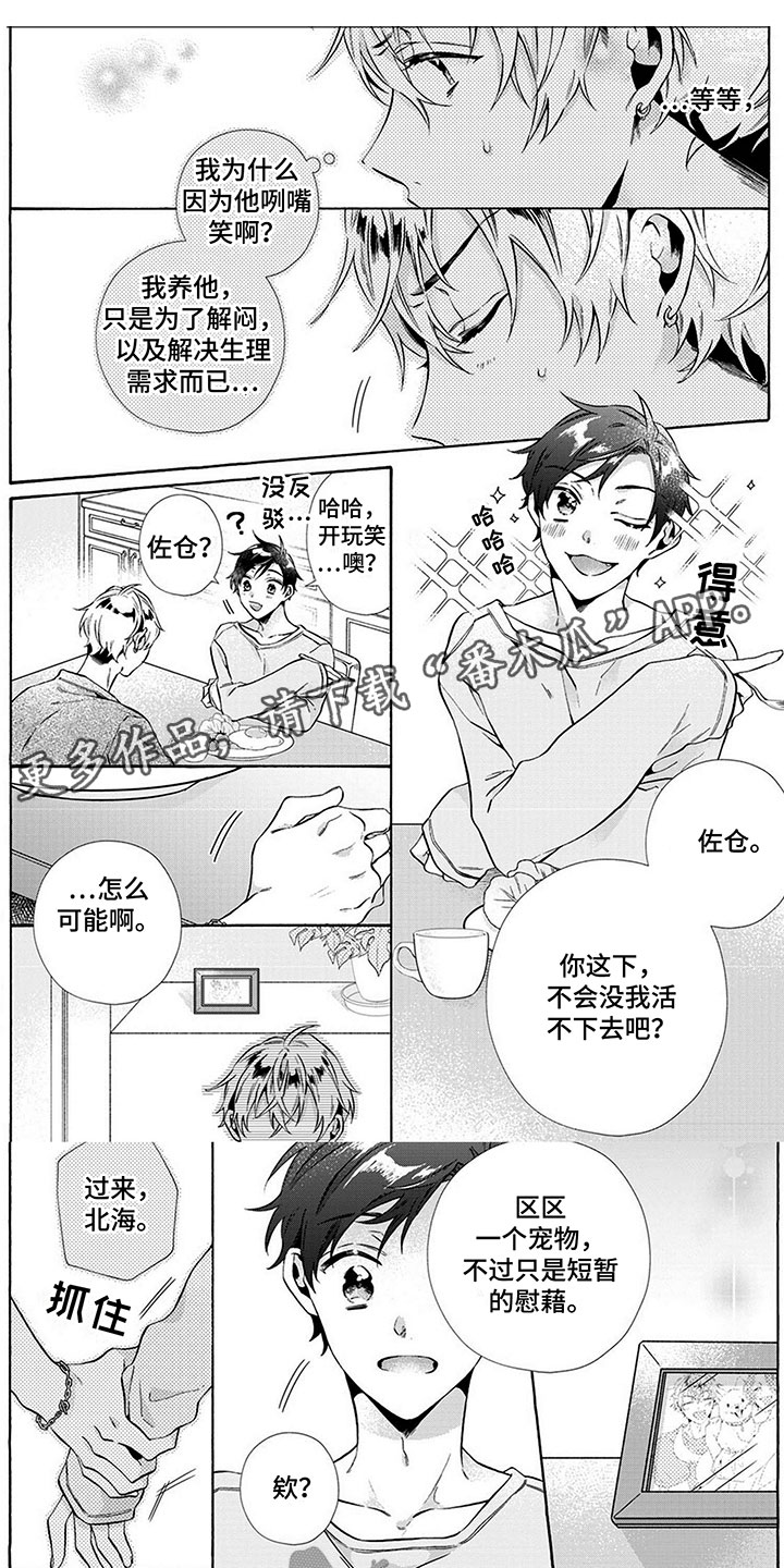 第6章：适应0