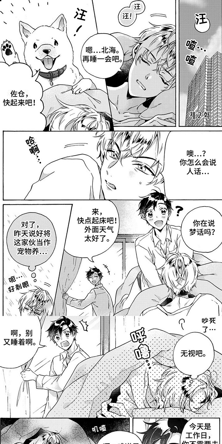 第3章：土狗0