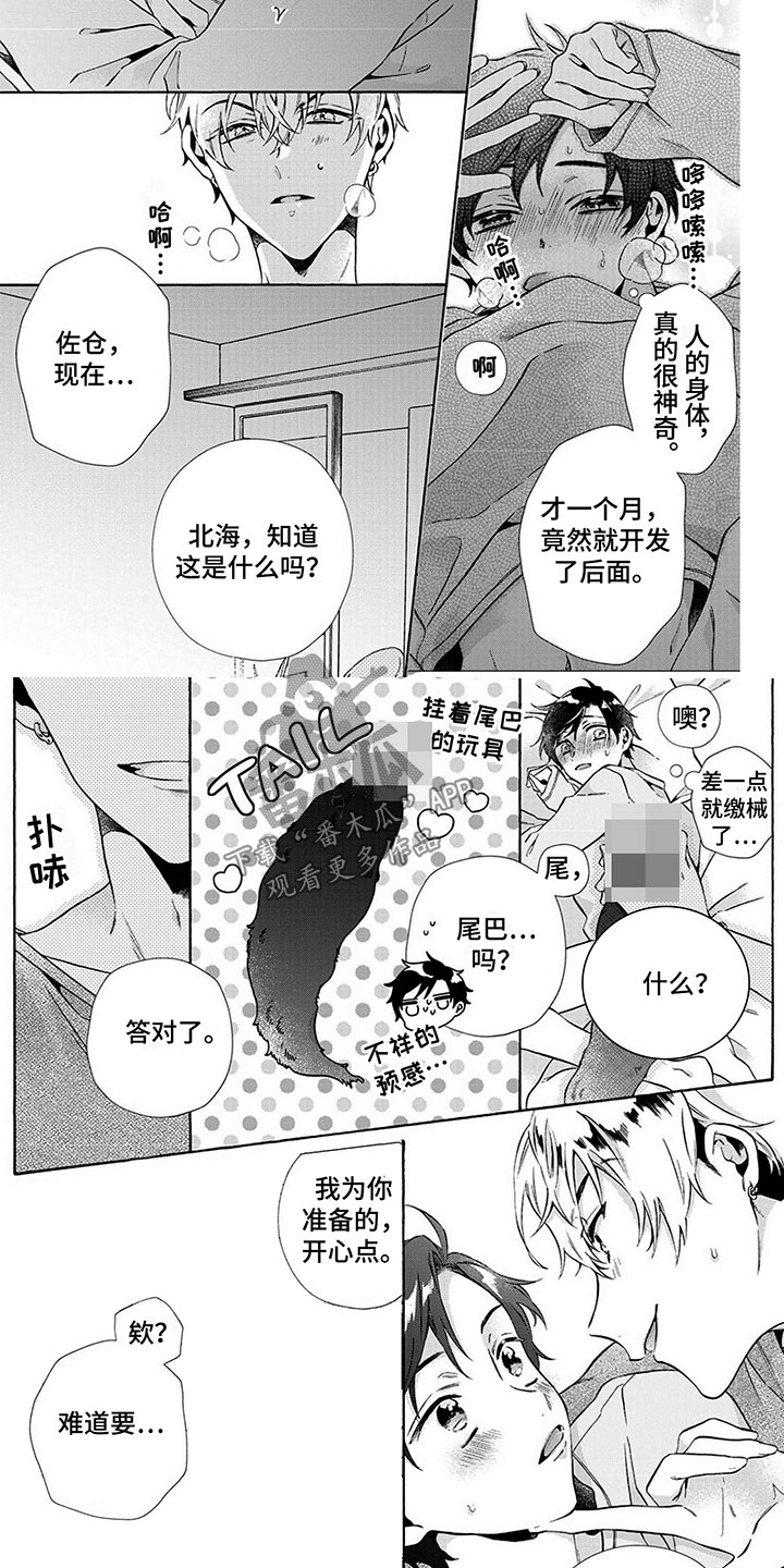 第6章：适应3